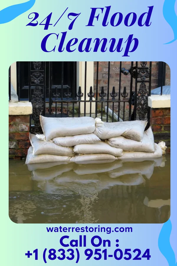 24/7 Flood Cleanup in Southampton Meadows, VA