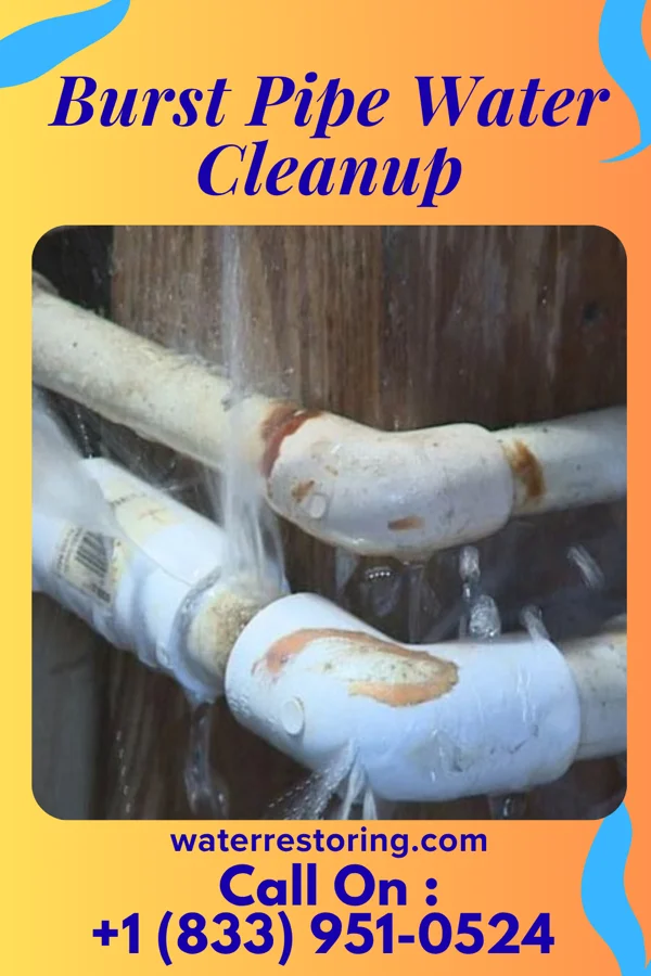 Burst Pipe Water Cleanup in Southampton Meadows, VA