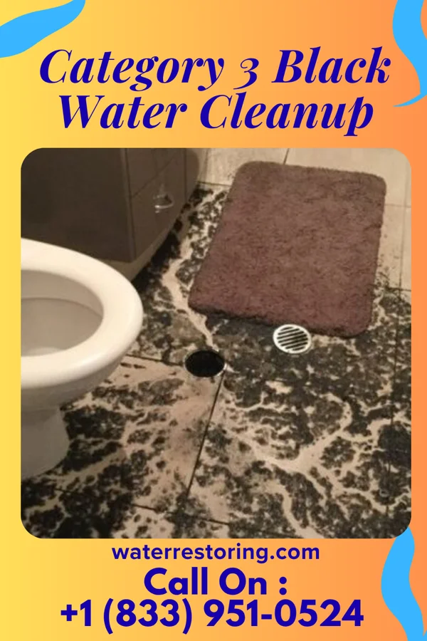 Category 3 Black Water Cleanup in Southampton Meadows, VA