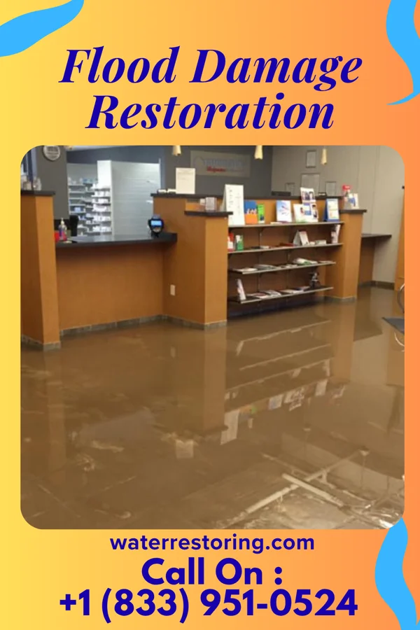 Flood Damage Restoration in Southampton Meadows, VA