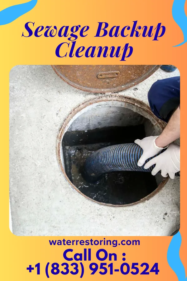 Sewage Backup Cleanup in Southampton Meadows, VA