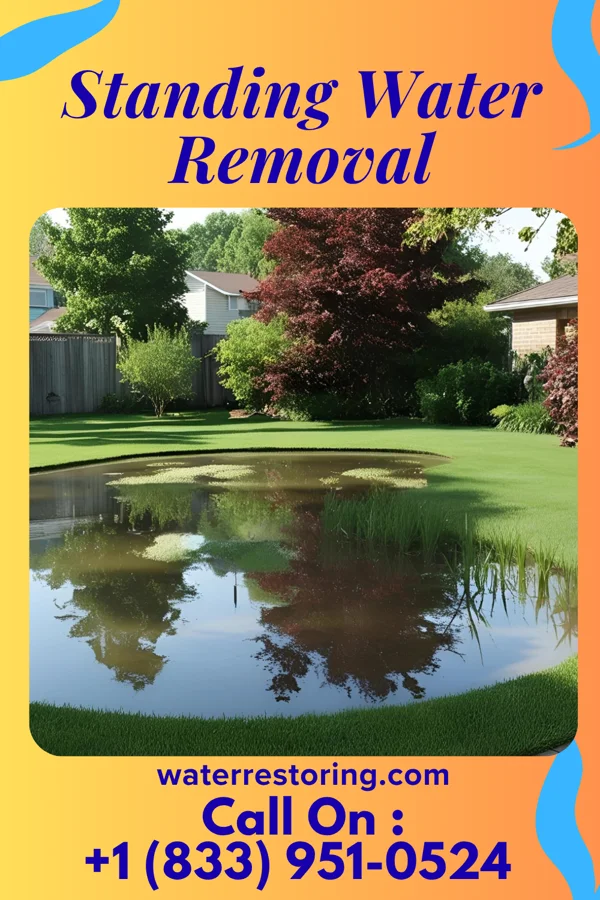 Standing Water Removal in Southampton Meadows, VA